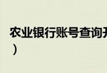农业银行账号查询开户行（农业银行账号查询）