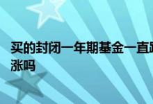 买的封闭一年期基金一直跌咋办 买了新基金封闭期过了会补涨吗