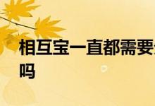 相互宝一直都需要分摊吗 相互宝要一直分摊吗