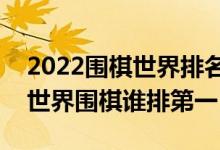 2022围棋世界排名（最新世界围棋棋手排名世界围棋谁排第一）