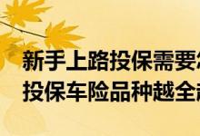 新手上路投保需要怎么做？&#32;新车投保车险品种越全越好