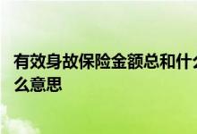 有效身故保险金额总和什么意思 有效身故保险金额总和是什么意思