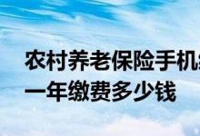 农村养老保险手机缴费可以吗 农村养老保险一年缴费多少钱 