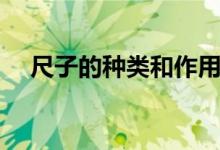 尺子的种类和作用（尺子的种类有哪些）