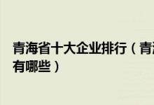 青海省十大企业排行（青海上市公司排名青海的知名大企业有哪些）