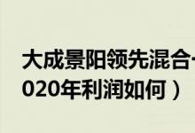 大成景阳领先混合一年来涨了多少（该基金2020年利润如何）