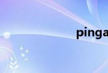 pingan（com）