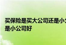 买保险是买大公司还是小公司的好 买保险到底是大公司好还是小公司好