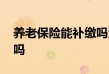 养老保险能补缴吗沈阳市的 养老保险能补缴吗