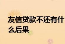 友信贷款不还有什么后果 友信贷款不还有什么后果