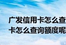 广发信用卡怎么查询自己的还款日 广发信用卡怎么查询额度呢