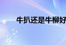 牛扒还是牛柳好吃（牛扒还是牛排）