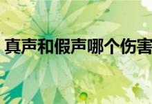 真声和假声哪个伤害大（真声和假声的区别）