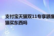 支付宝天猫双11专享额度券 天猫双11专享额度券只能在天猫买东西吗