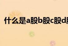 什么是a股b股c股d股e股 什么是a股b股c股