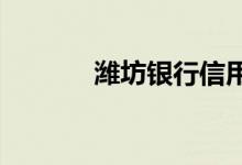 潍坊银行信用卡分期付款条款