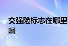 交强险标志在哪里获得 交强险标志在哪里拿啊