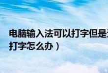 电脑输入法可以打字但是无法显示（电脑输入法不见了不能打字怎么办）