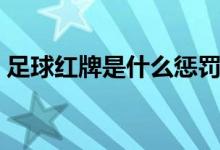 足球红牌是什么惩罚（足球红牌是什么意思）
