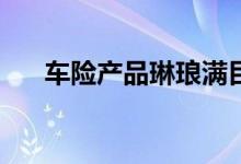 车险产品琳琅满目，哪些车险必须买？