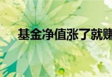 基金净值涨了就赚 基金净值涨了就赚吗