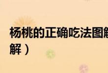 杨桃的正确吃法图解没熟（杨桃的正确吃法图解）