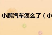 小鹏汽车怎么了（小鹏汽车回应是怎么回事）