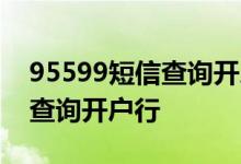 95599短信查询开户行如何操作 95599短信查询开户行