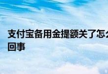 支付宝备用金提额关了怎么开 支付宝备用金开了又关了怎么回事
