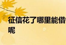 征信花了哪里能借钱 请问征信花了怎么借钱呢