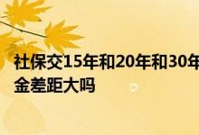 社保交15年和20年和30年的区别 社保15年和20年领取养老金差距大吗