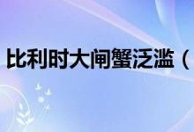 比利时大闸蟹泛滥（背后泛滥的原因是什么）