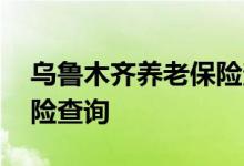 乌鲁木齐养老保险查询 乌鲁木齐个人养老保险查询