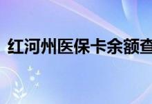 红河州医保卡余额查询 红河州医疗保险查询