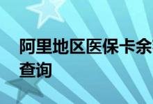 阿里地区医保卡余额查询 阿里地区医疗保险查询