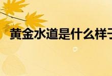 黄金水道是什么样子（黄金水道是哪条河）