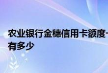 农业银行金穗信用卡额度一般多少 农业银行金穗信用卡额度有多少