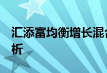 汇添富均衡增长混合（519018）基金投资分析