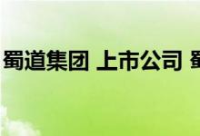 蜀道集团 上市公司 蜀道集团股票代码是什么 