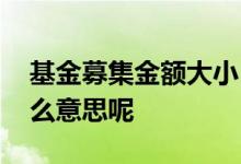 基金募集金额大小 基金募集的比例确认是什么意思呢