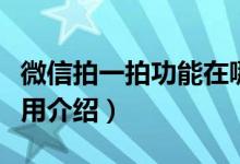 微信拍一拍功能在哪里（这个功能的位置和使用介绍）