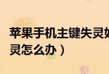 苹果手机主键失灵如何开机（苹果手机主键失灵怎么办）