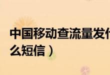 中国移动查流量发什么（中国移动查流量发什么短信）