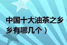 中国十大油茶之乡（中国油茶产区中国油茶之乡有哪几个）