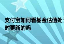 支付宝如何看基金估值处于高估区 支付宝里的基金估值是实时更新的吗