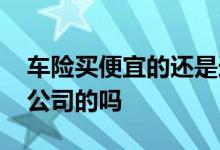 车险买便宜的还是选大公司 车险有必要买大公司的吗