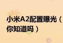 小米A2配置曝光（小米2A将会搭配这些配置你知道吗）