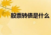 股票转债是什么 股票转债是什么意思