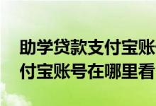 助学贷款支付宝账号在哪里查询 助学贷款支付宝账号在哪里看