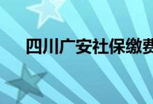 四川广安社保缴费标准2022 交多少钱 